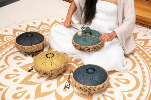 Meinl Sonic Energy Steel Tongue Drum 10 inch / 12 inch